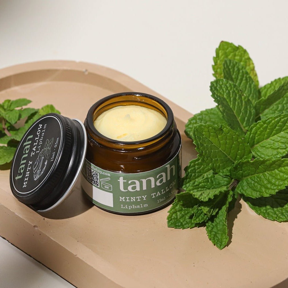 Minty Tallow Lipbalm 🍃 15ml (0.5 oz) - tanah