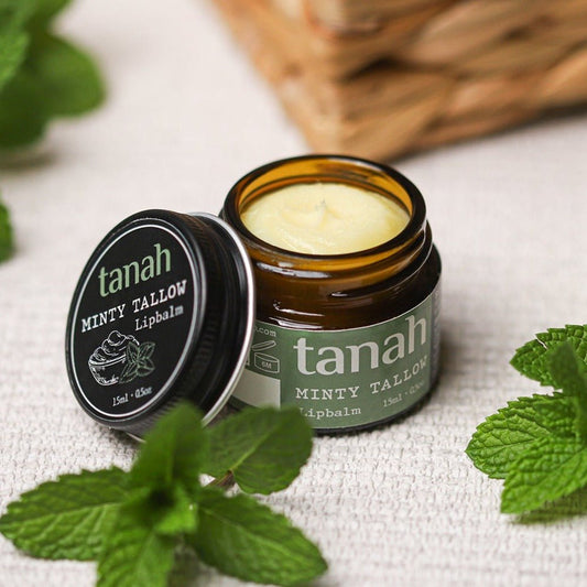 Minty Tallow Lipbalm 🍃 15ml (0.5 oz) - tanah