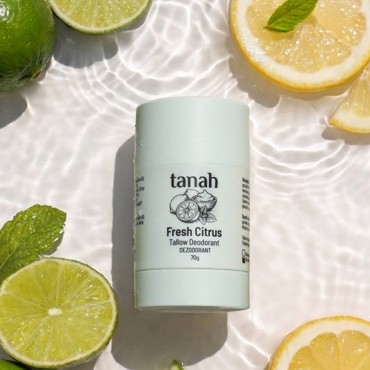 Fresh Citrus Tallow Deodorant | 70g - tanah